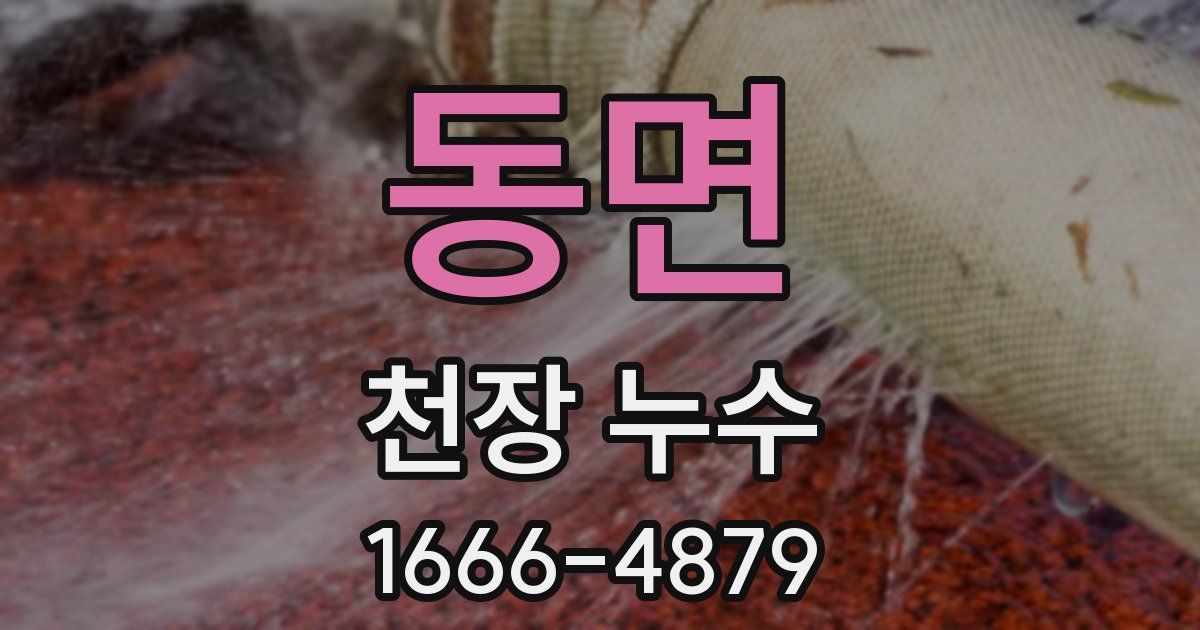 동면 천장 누수