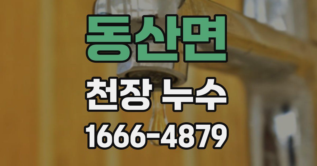 동산면 천장 누수