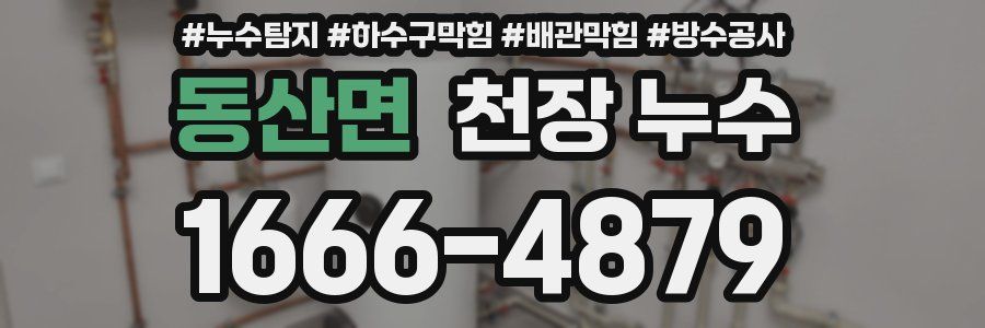 동산면 천장 누수