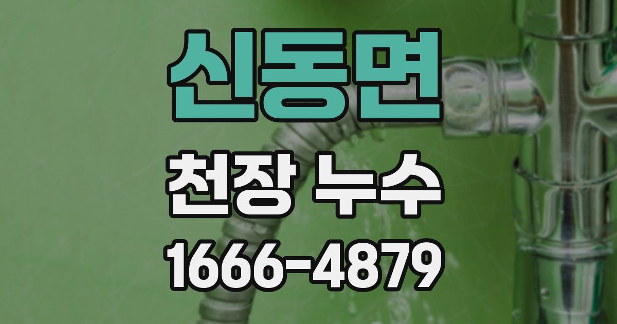 신동면 천장 누수
