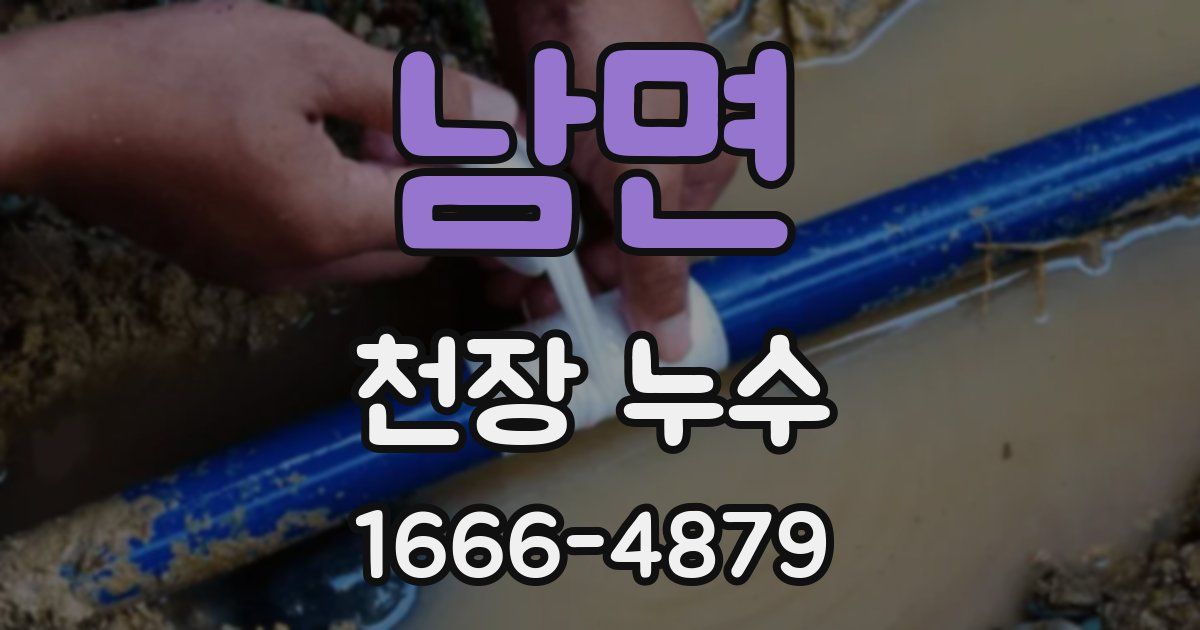 남면 천장 누수