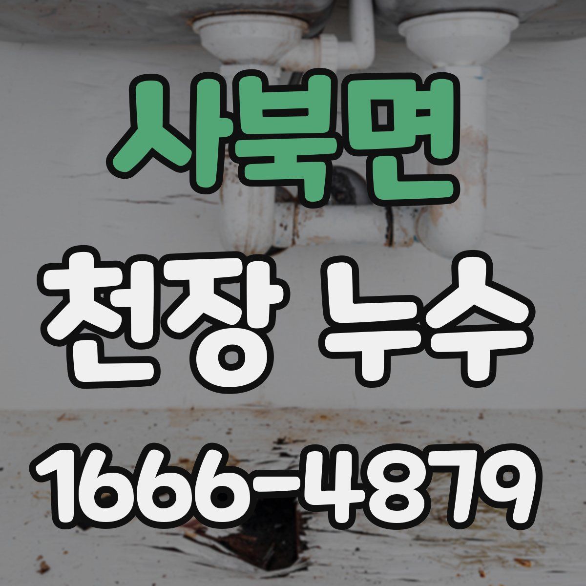 사북면 천장 누수