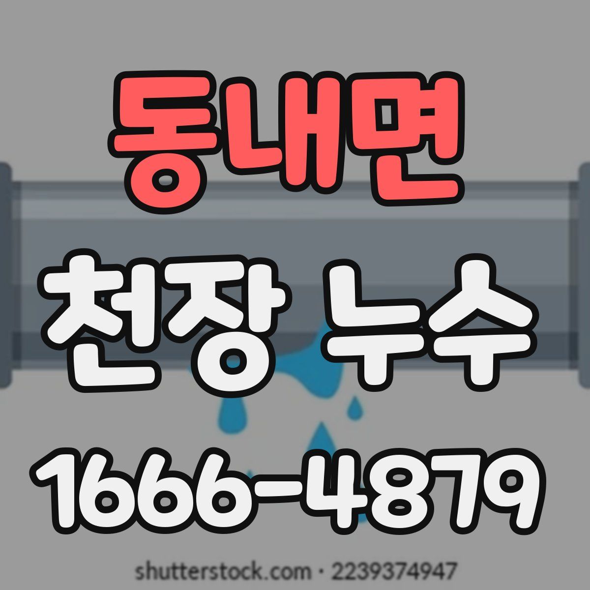 동내면 천장 누수