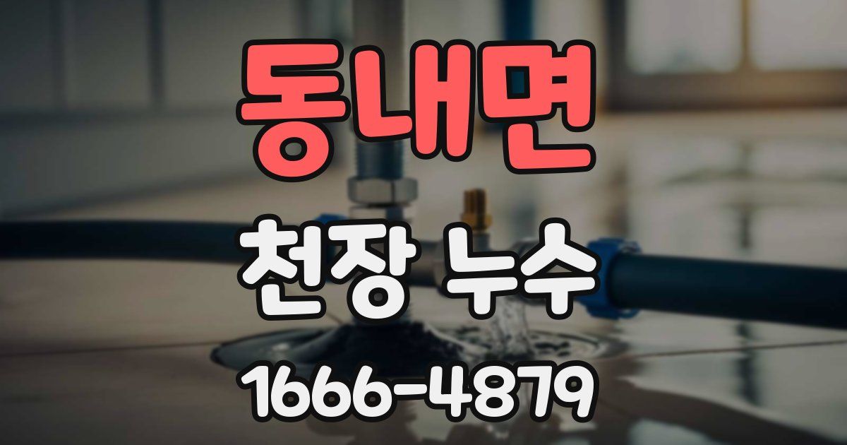 동내면 천장 누수
