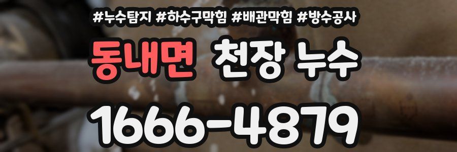 동내면 천장 누수