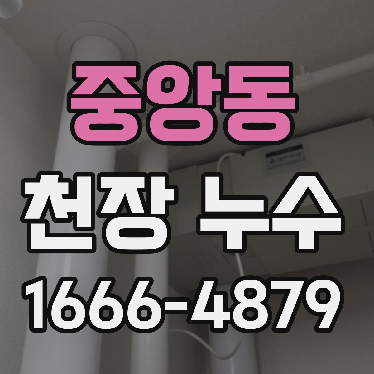 중앙동 천장 누수