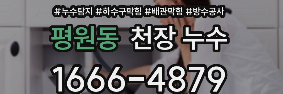 평원동 천장 누수