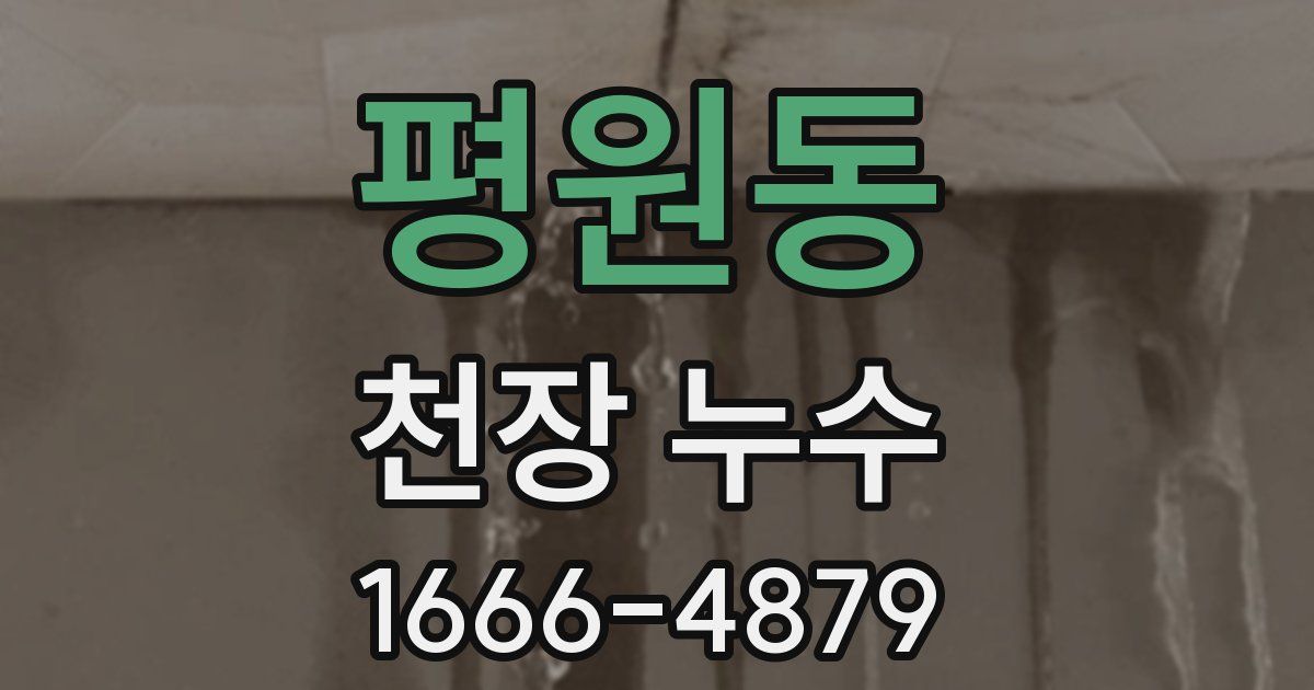 평원동 천장 누수