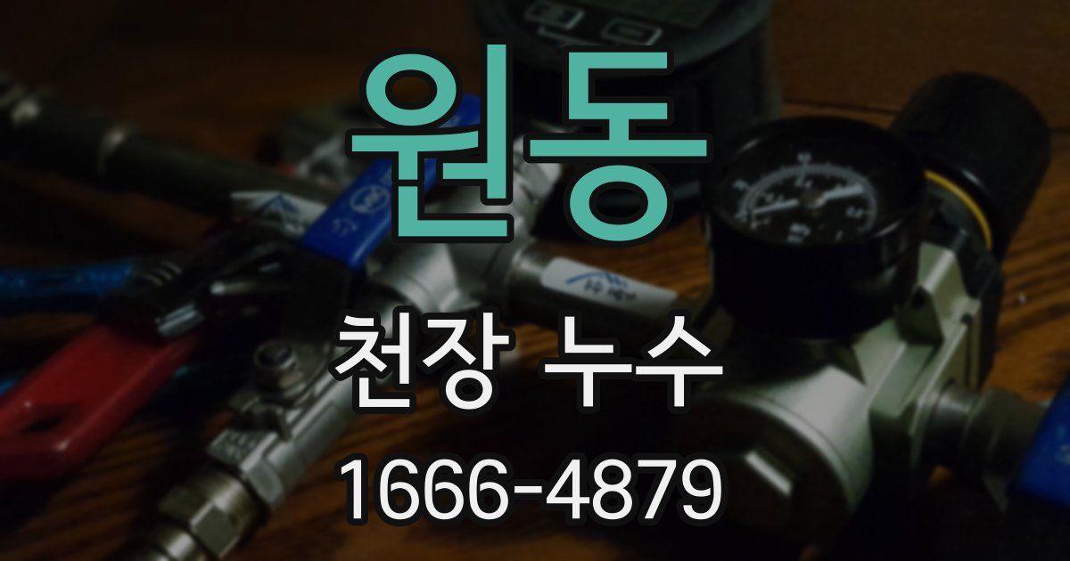 원동 천장 누수