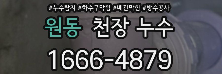 원동 천장 누수