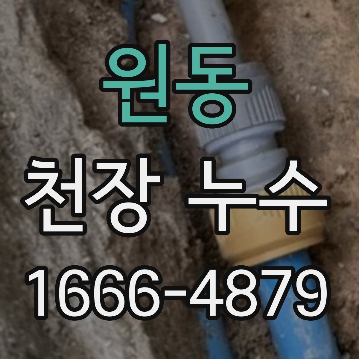 원동 천장 누수