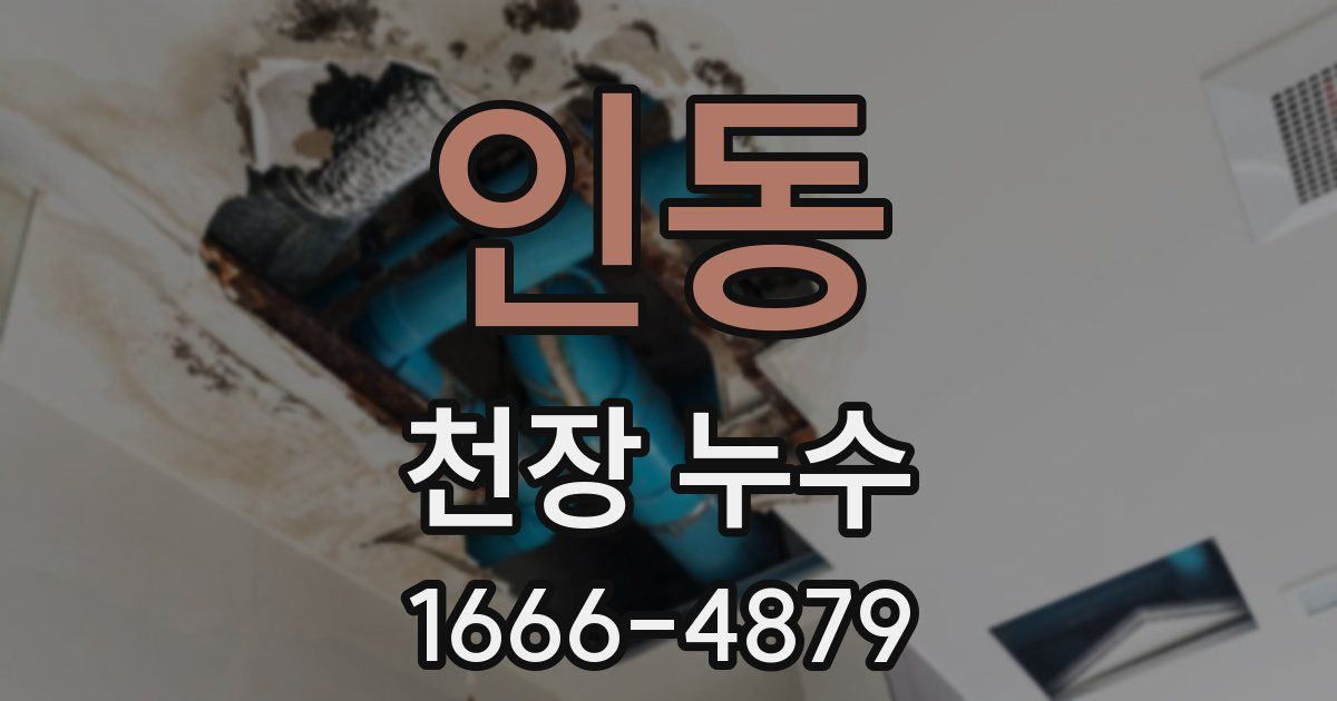 인동 천장 누수