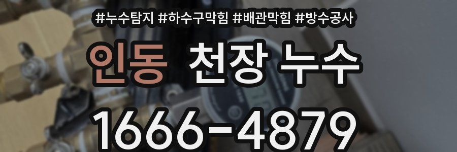 인동 천장 누수