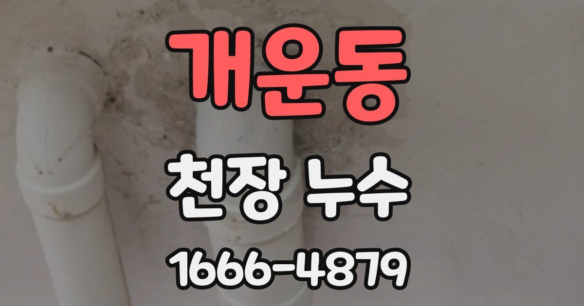 개운동 천장 누수