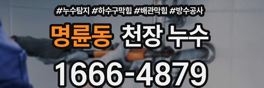 명륜동 천장 누수