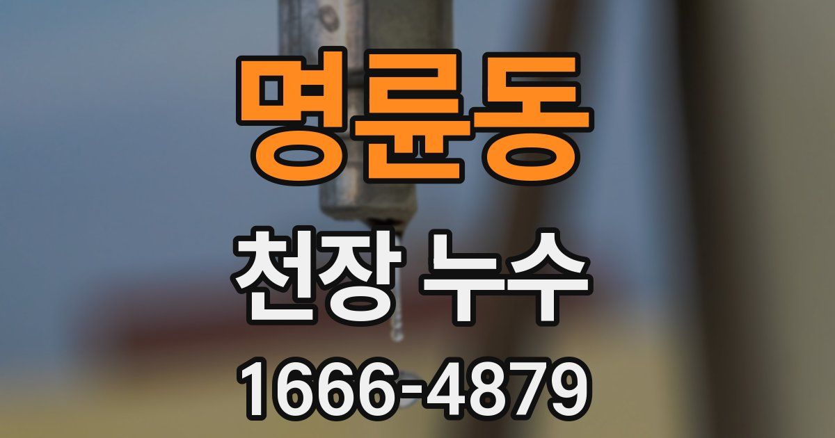 명륜동 천장 누수