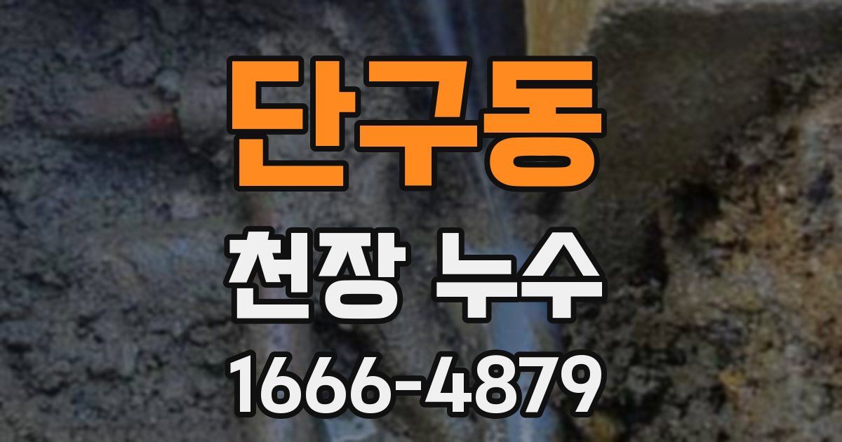단구동 천장 누수