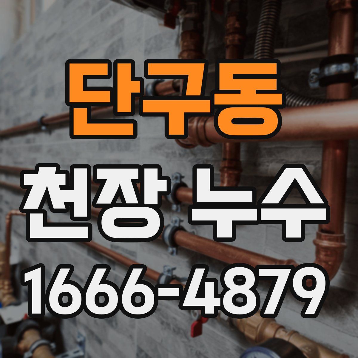 단구동 천장 누수