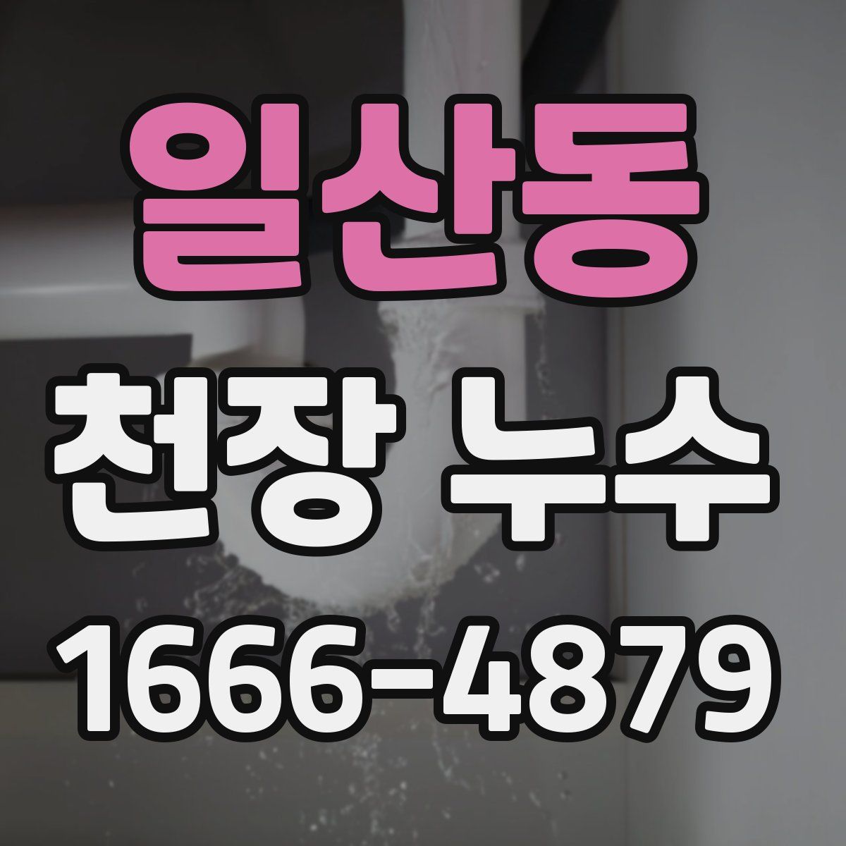 일산동 천장 누수