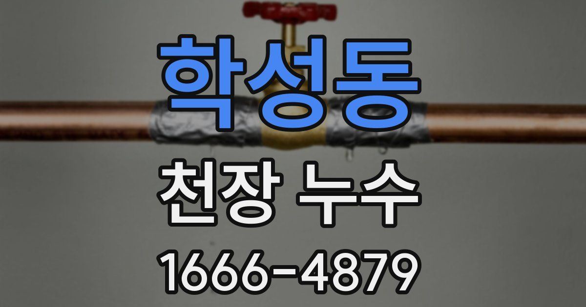 학성동 천장 누수