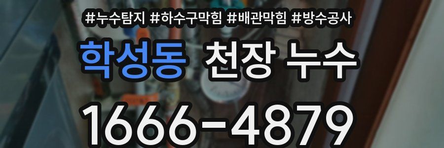 학성동 천장 누수