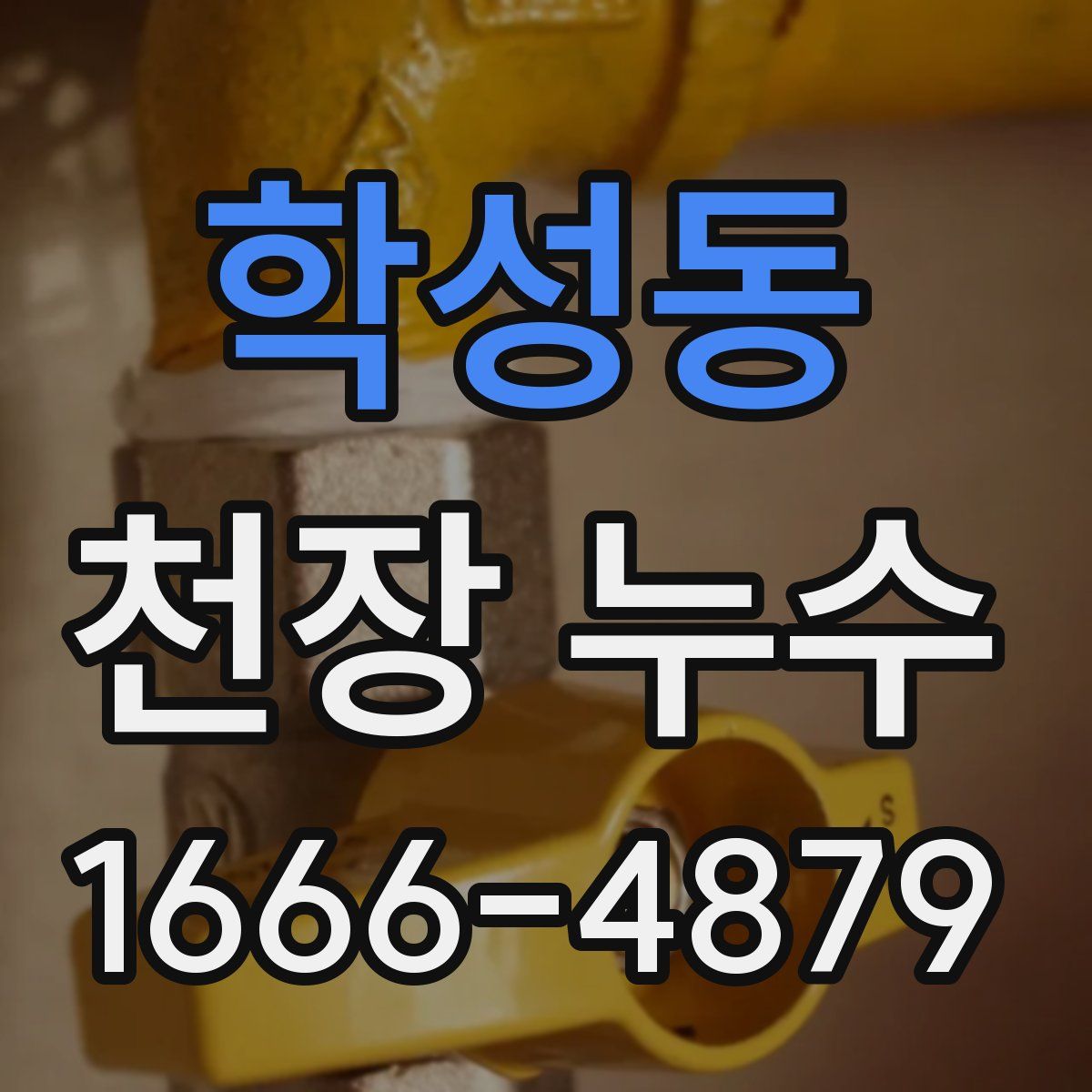 학성동 천장 누수