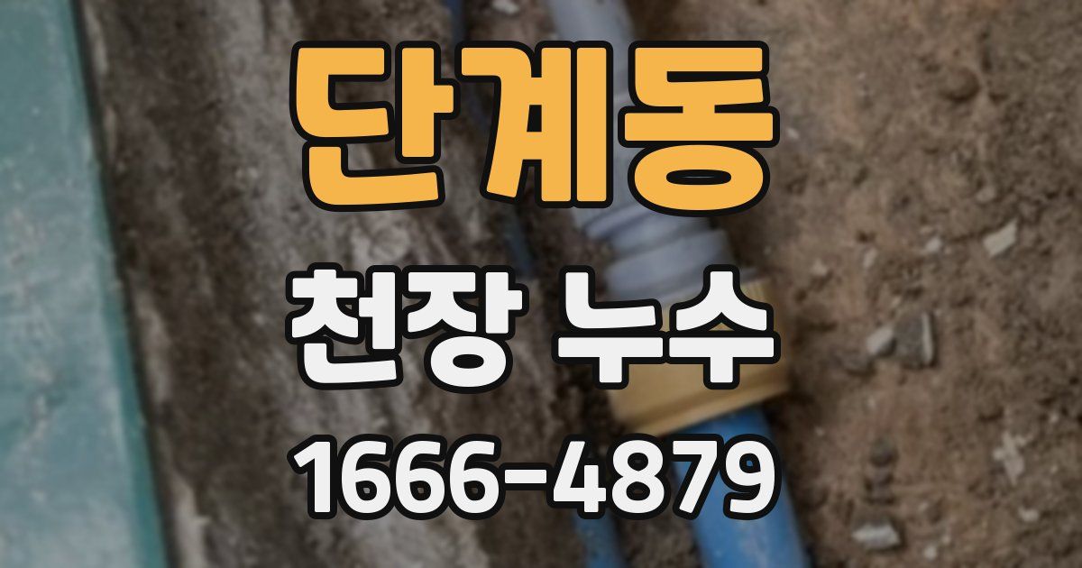 단계동 천장 누수