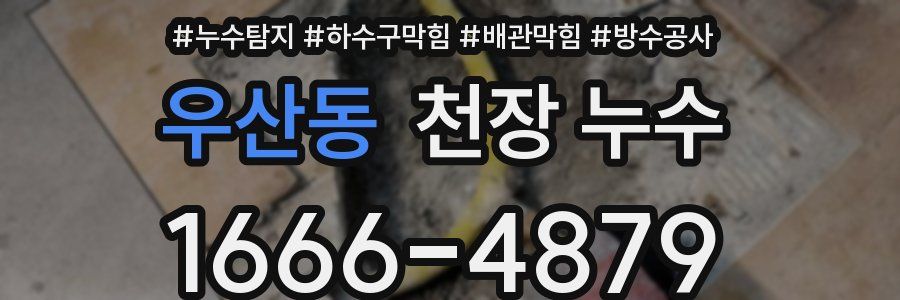 우산동 천장 누수