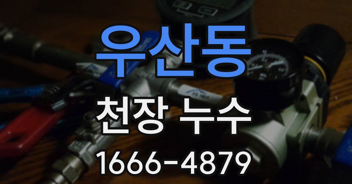 우산동 천장 누수
