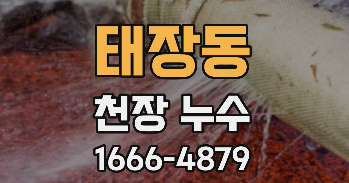 태장동 천장 누수