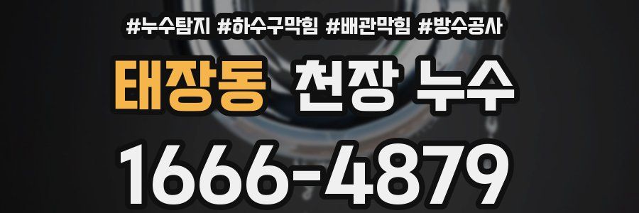태장동 천장 누수