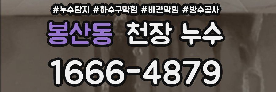 봉산동 천장 누수