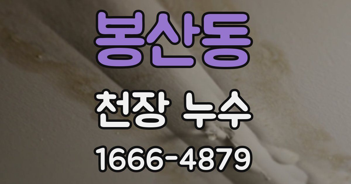 봉산동 천장 누수