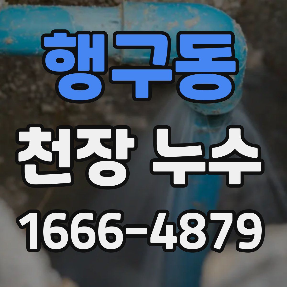 행구동 천장 누수