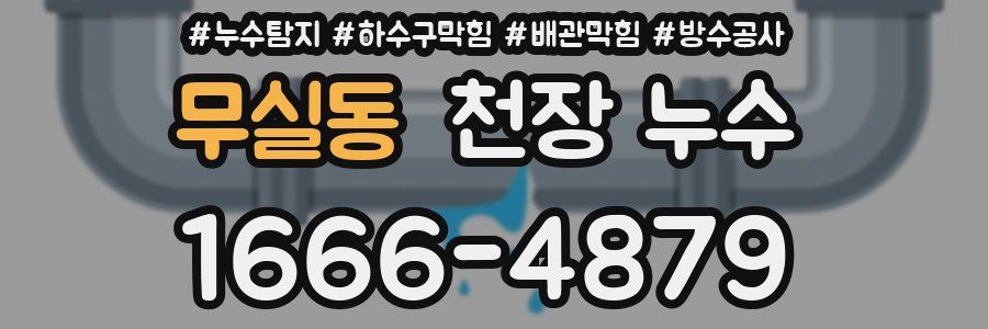 무실동 천장 누수