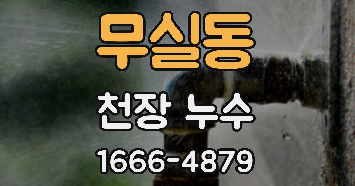 무실동 천장 누수