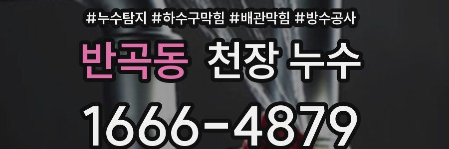 반곡동 천장 누수