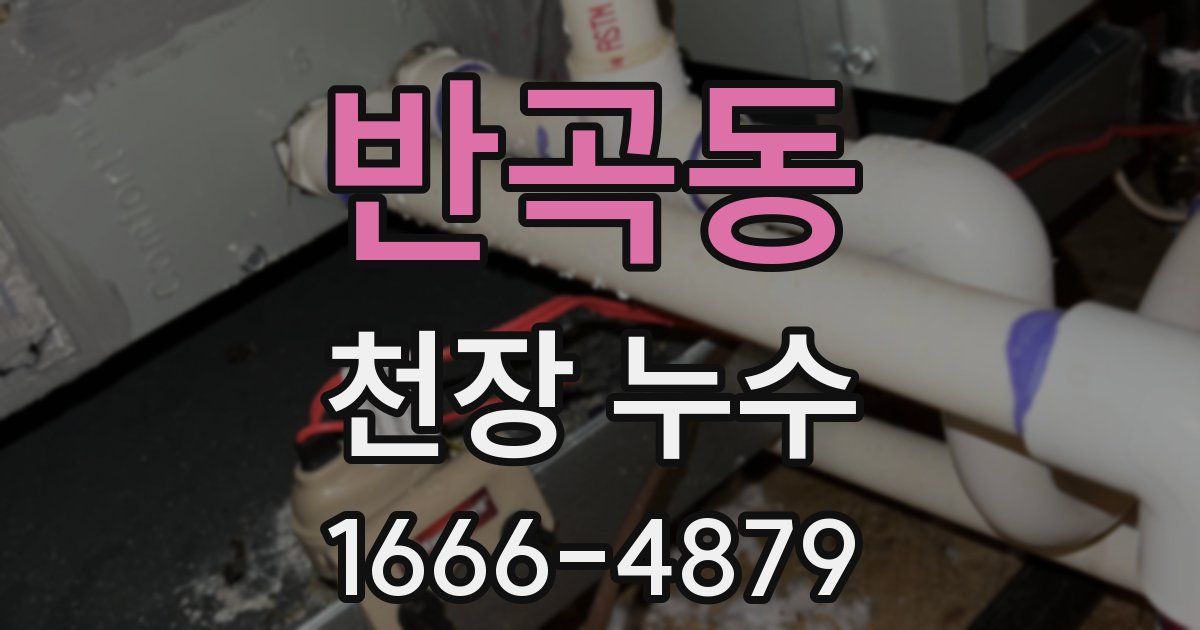 반곡동 천장 누수