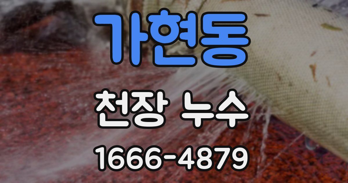 가현동 천장 누수