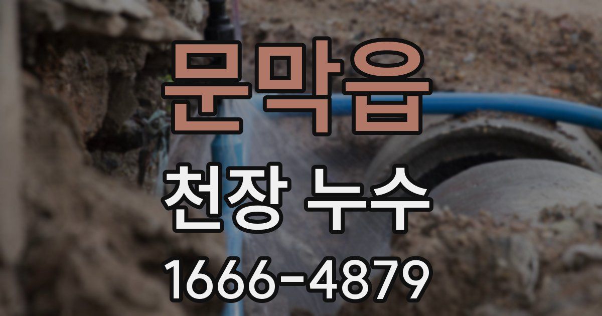 문막읍 천장 누수