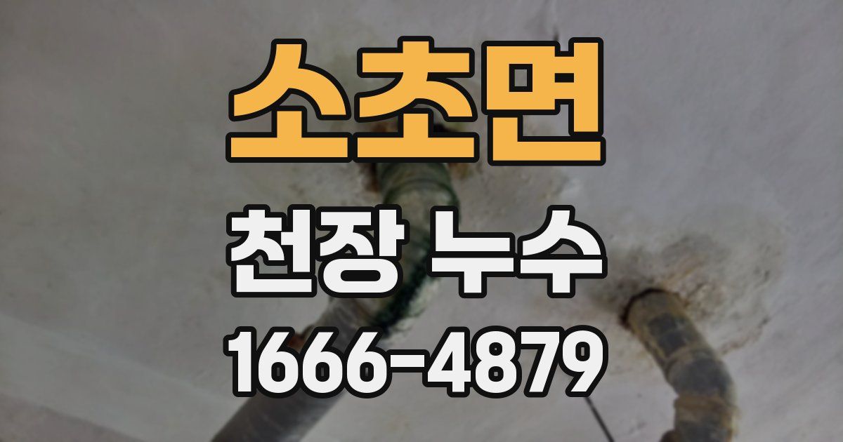 소초면 천장 누수