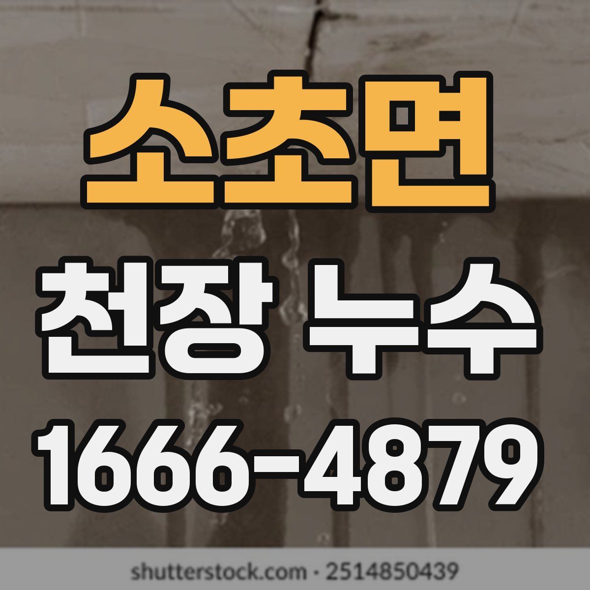소초면 천장 누수