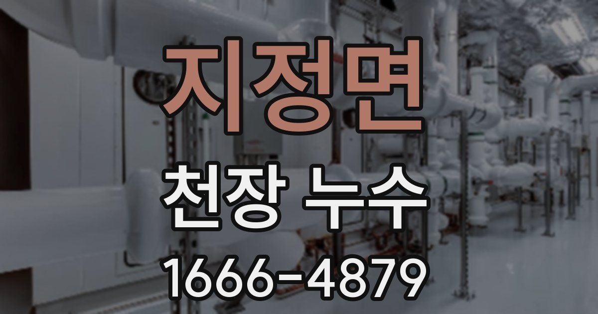 지정면 천장 누수