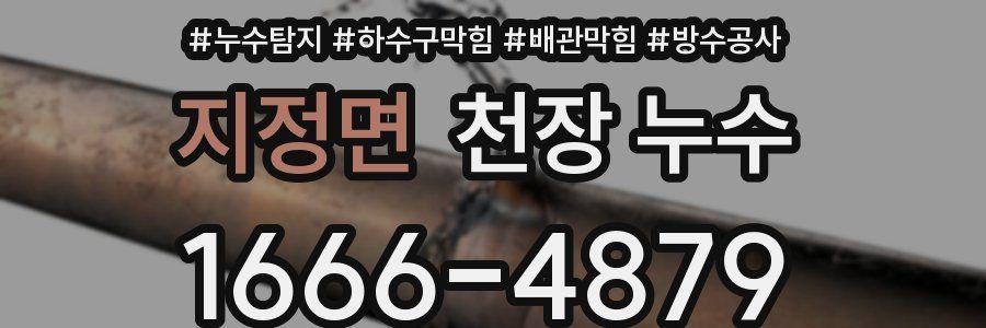 지정면 천장 누수