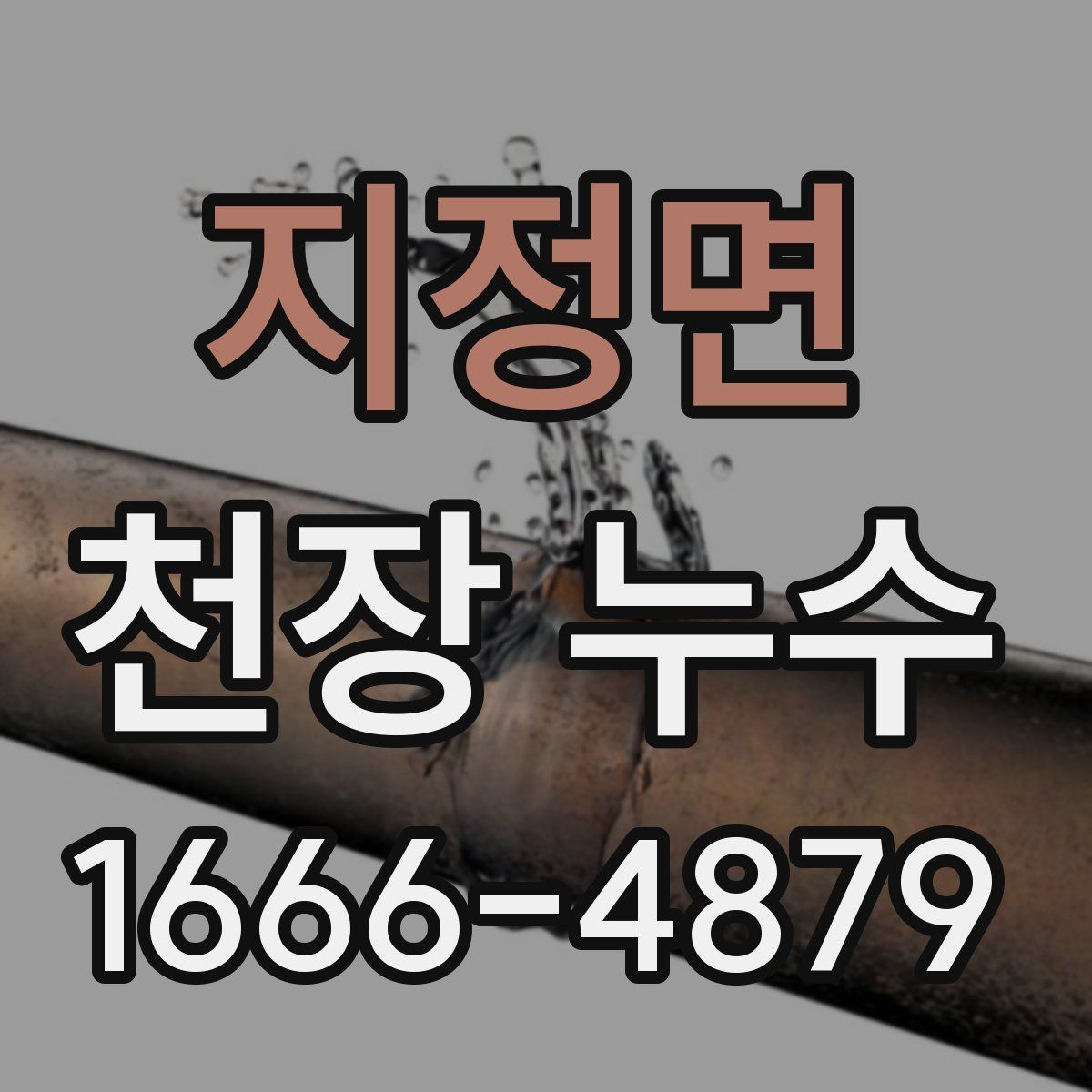 지정면 천장 누수