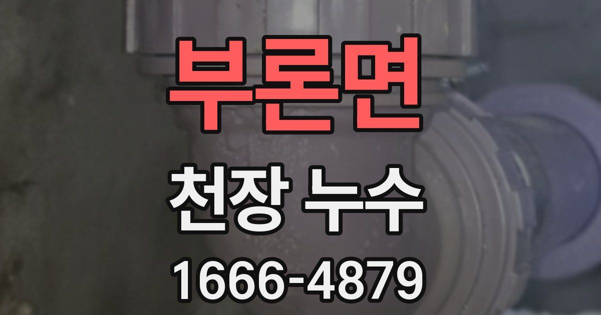 부론면 천장 누수