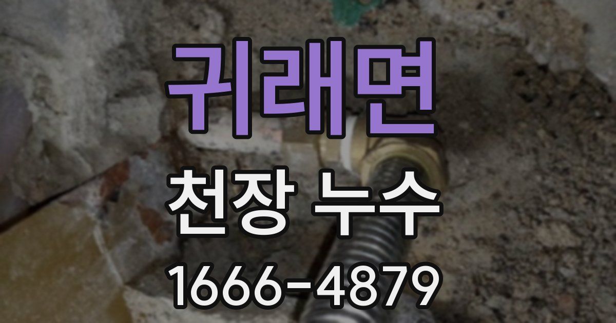 귀래면 천장 누수