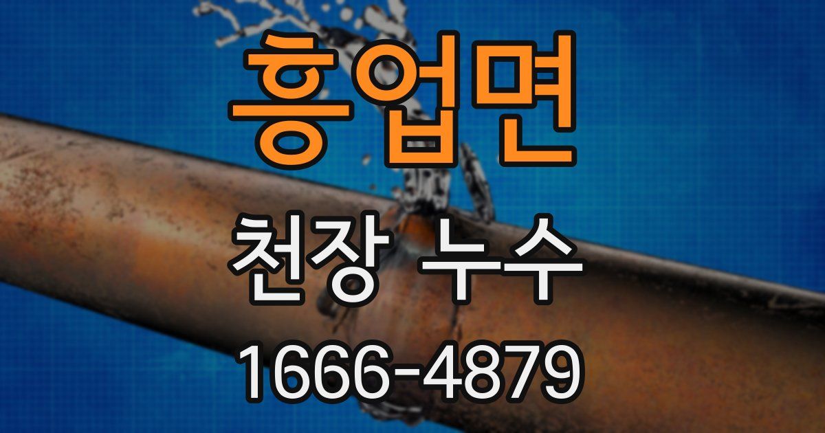 흥업면 천장 누수