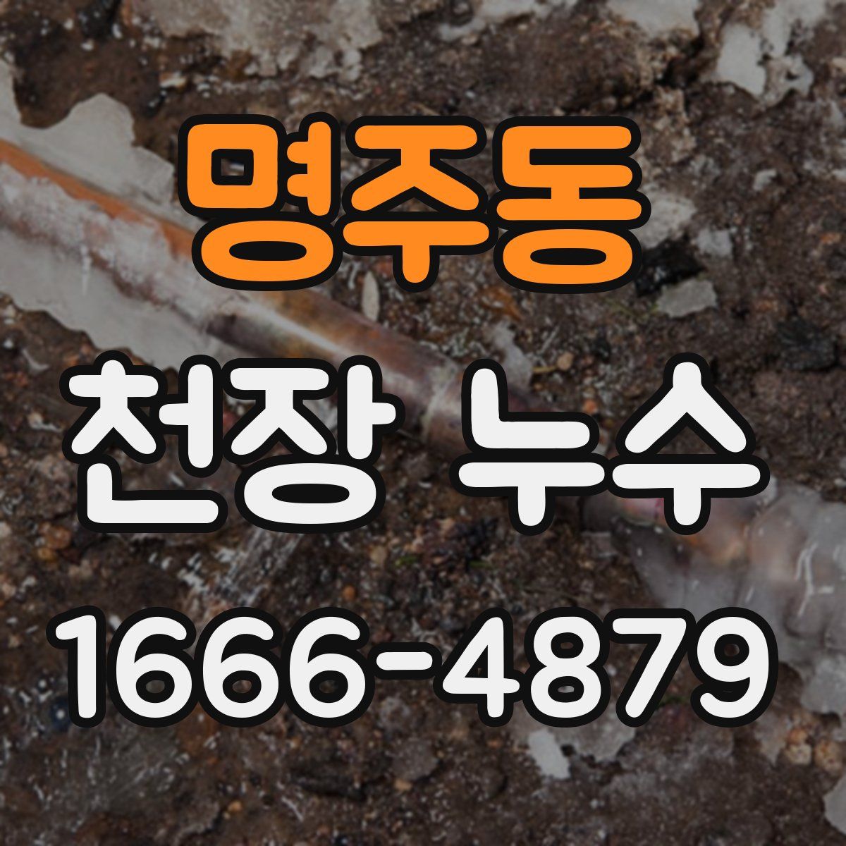 명주동 천장 누수