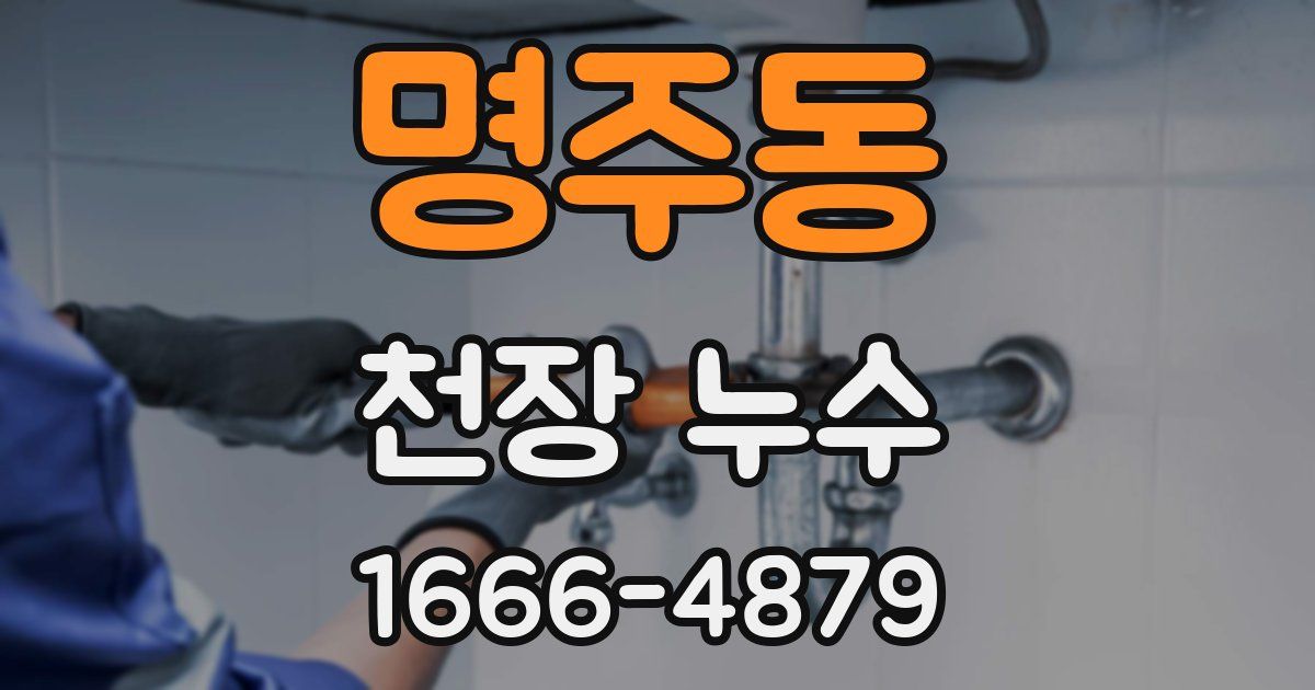 명주동 천장 누수